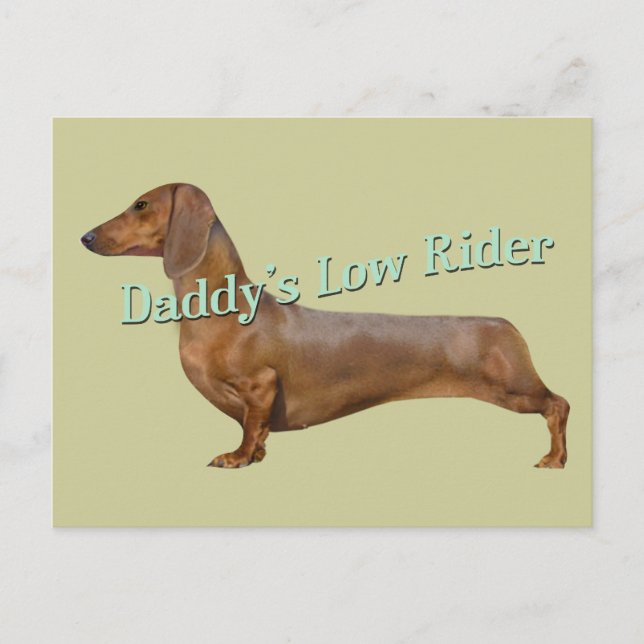 Postal Regalos de baja carrera de Dachshund Daddy (Anverso)