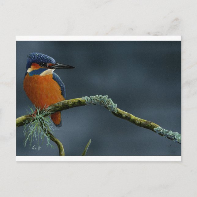 Postal Regalos de Bright Kingfisher (Anverso)