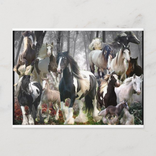 Postal Regalos de caballos gitanos (Anverso)