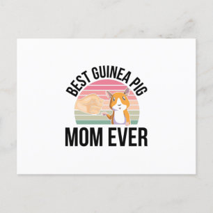 Postal Regalos de cerdo de Guinea   Mascotas de cerdos gu