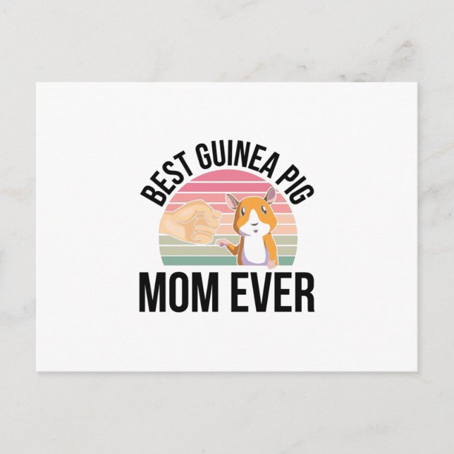 Postal Regalos de cerdo de Guinea | Mascotas de cerdos gu (Anverso)