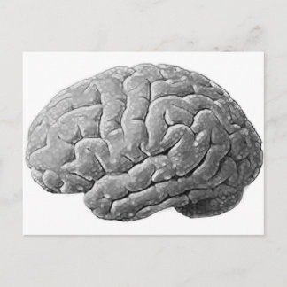 Postal Regalos de cerebro