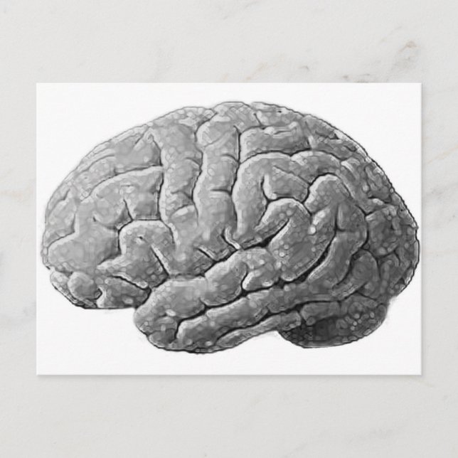 Postal Regalos de cerebro (Anverso)