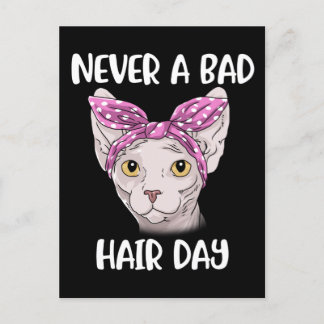 Postal Regalos De Gatos Sphynx Para Mujeres Y Hombres Gat