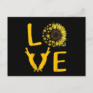 Postal Regalos de Girasoles de Gato para Amantes de Gatos