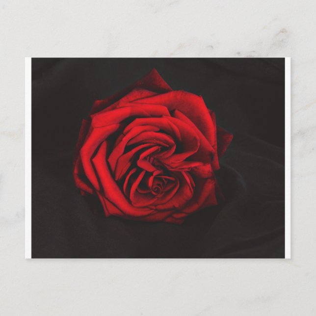 Postal Regalos de la Rosa Roja (Anverso)