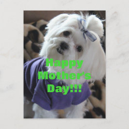 Postal Regalos de Malta