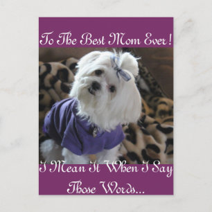 Postal Regalos de Malta