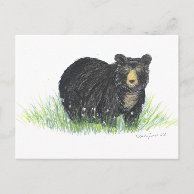 Postal regalos de oso negro (Anverso)