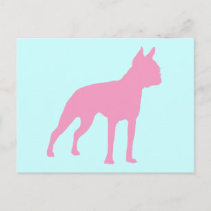 Postal Regalos de Perro Terrier de Boston Rosa