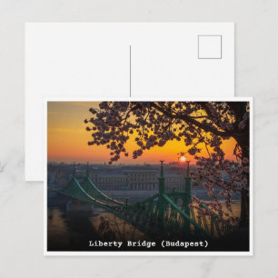 Postal regalos de puente de libertad de hungría de budape