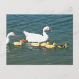 Postal Regalos Destinos