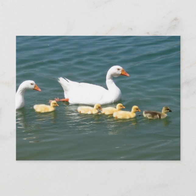 Postal Regalos Destinos (Anverso)