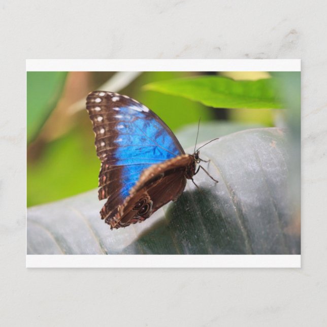 Postal Regalos Destinos (Anverso)