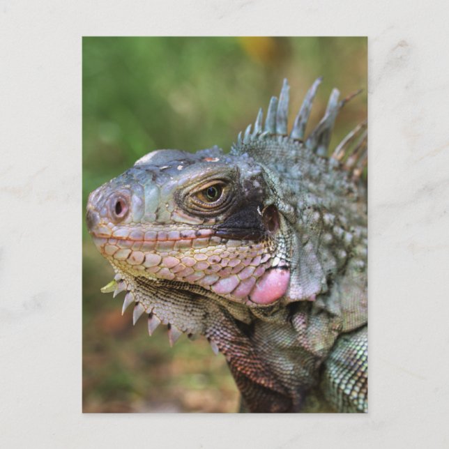 Postal Regalos Destinos (Anverso)