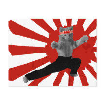 Regalos divertidos de gatito de karate