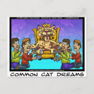 Postal Regalos divertidos de sueños comunes de gatos cami