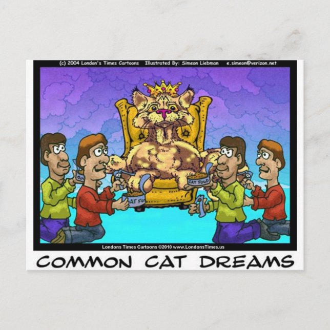Postal Regalos divertidos de sueños comunes de gatos cami (Anverso)