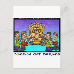 Postal Regalos Divertidos de Sueños Comunes de Gatos Cami