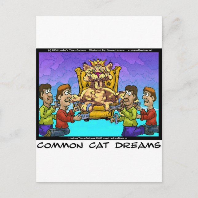 Postal Regalos Divertidos de Sueños Comunes de Gatos Cami (Anverso)