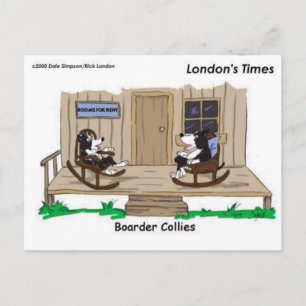 Postal Regalos divertidos y extravagantes para Border Col