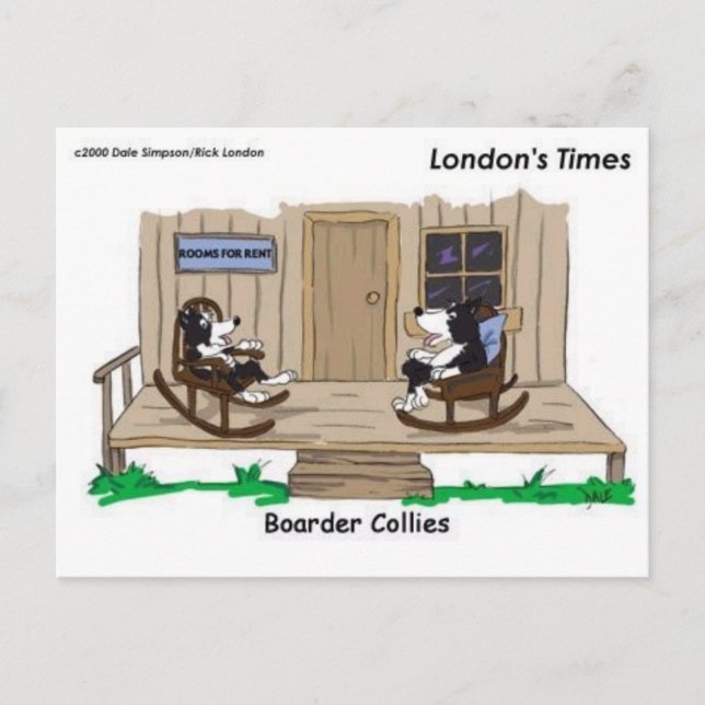 Postal Regalos divertidos y extravagantes para Border Col (Anverso)