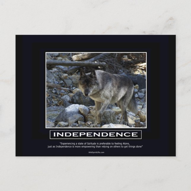 Postal Regalos motivacionales de Gray Wolf (Anverso)
