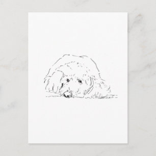 Postal Regalos para amantes de perros, ideas de cachorros