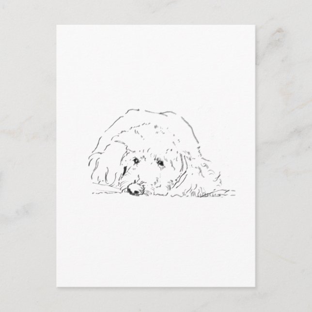 Postal Regalos para amantes de perros, ideas de cachorros (Anverso)
