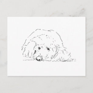 Postal Regalos para amantes de perros, ideas de regalos d
