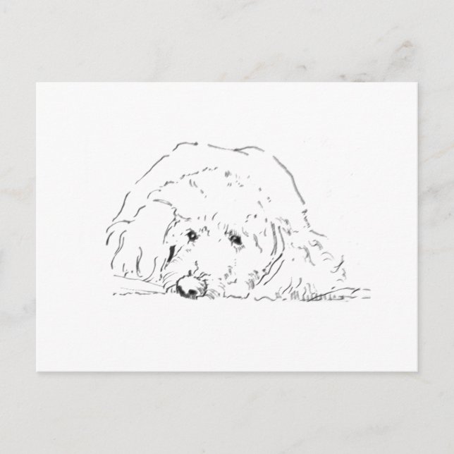 Postal Regalos para amantes de perros, ideas de regalos d (Anverso)