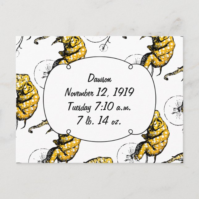 Postal Regalos para elefantes en circo (Anverso)