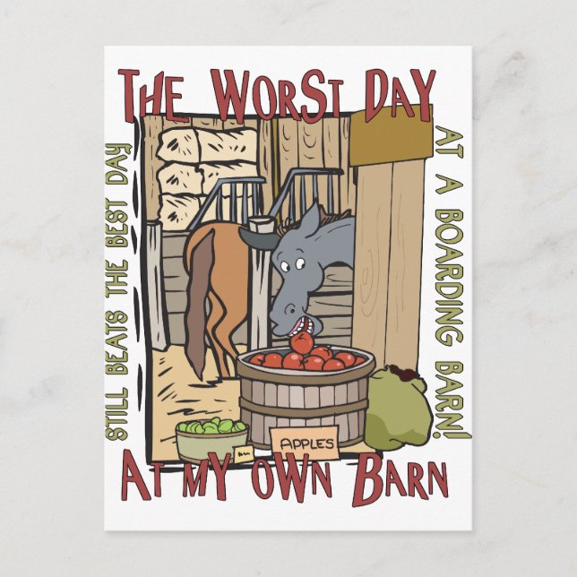 Postal Regalos para los amantes de los caballos (Anverso)