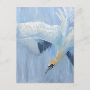Postal Regalos únicos que se zambullen de Gannets para