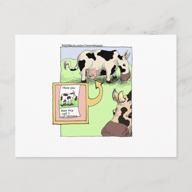 Postal Regalos y objetos de colección divertidos de vaca  (Anverso)