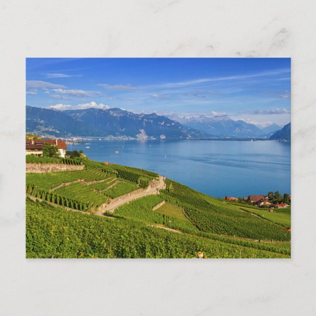 Postal Región de Lavaux, Vaud, HDR (Anverso)