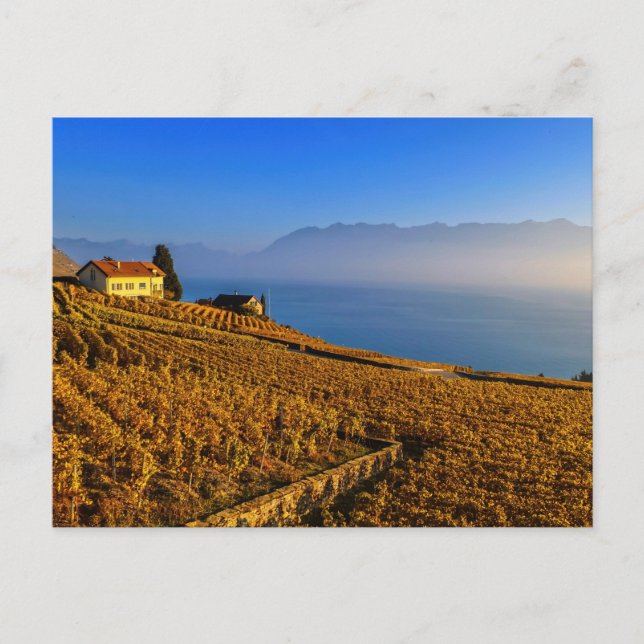 Postal Región de Lavaux, Vaud, Suiza (Anverso)