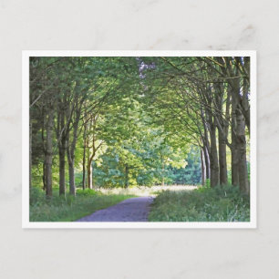 Postal Región holandesa de Salland Bosque Westerveldse