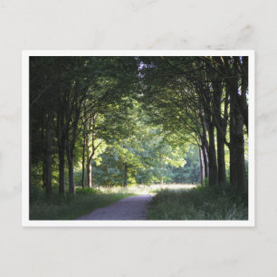Postal Región holandesa de Salland Bosque Westerveldse