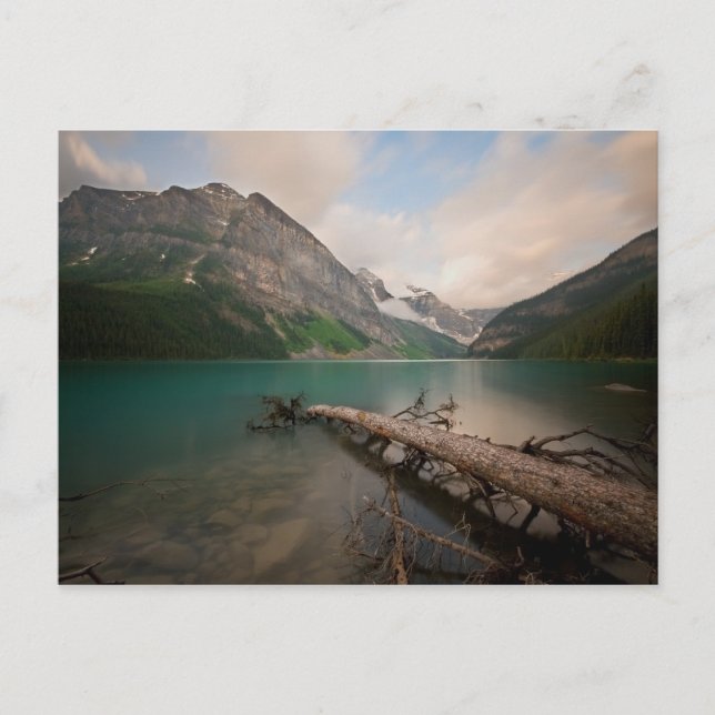 Postal Registro de agua (Anverso)