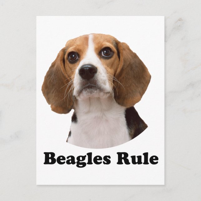 Postal Regla de Beagles (Anverso)