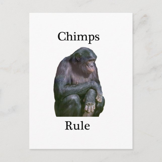 Postal Regla de chimpancés (Anverso)