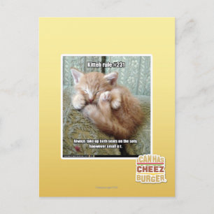 Postal Regla de Kitteh #231
