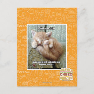 Postal Regla de Kitteh #231