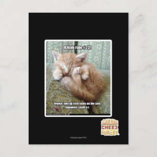 Postal Regla de Kitteh #231