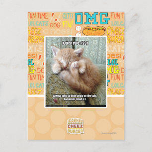Postal Regla de Kitteh #231