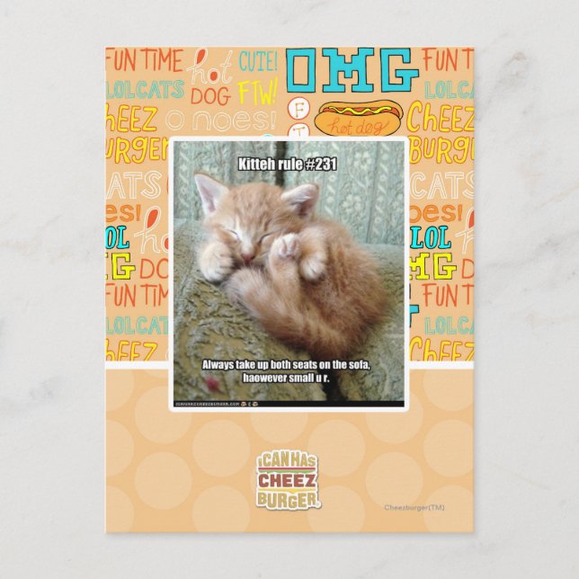 Postal Regla de Kitteh #231 (Anverso)