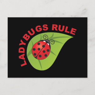 Postal Regla de Ladybugs