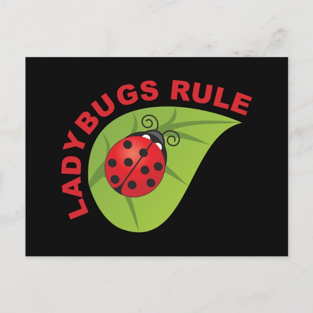 Postal Regla de Ladybugs (Anverso)