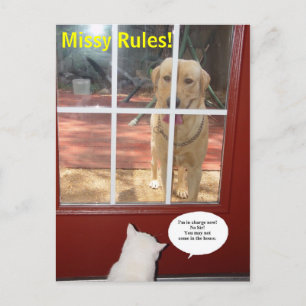 Postal ¡Reglas de Missy!